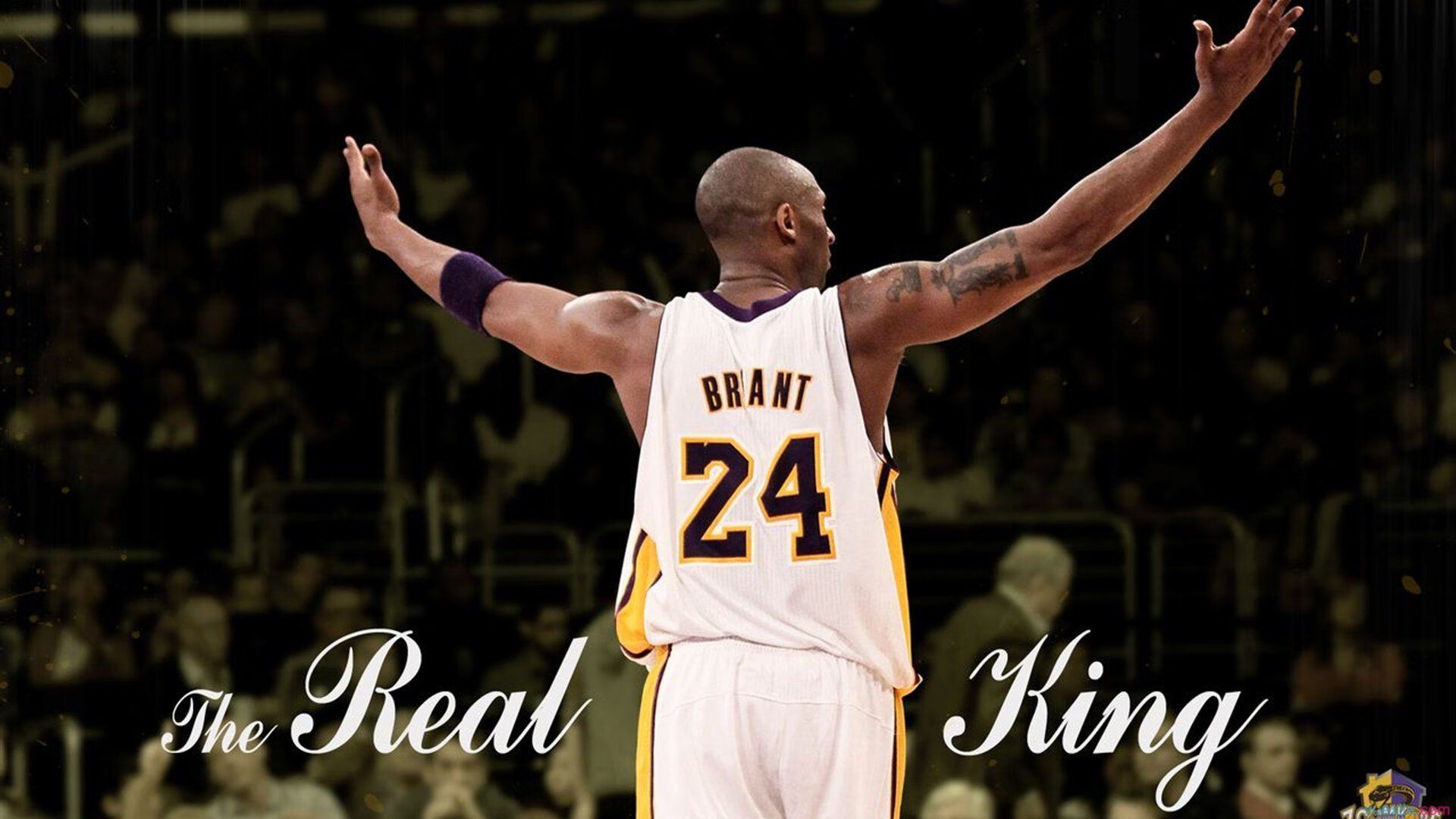 全国羽毛球锦标赛圆满落幕 新锐选手表现抢眼